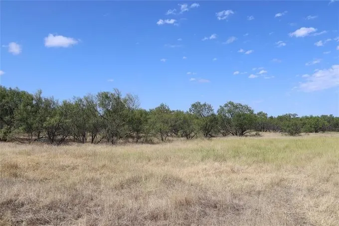 Henrietta, Clay County, TX Farms and Ranches for sale Property ID: 417385510