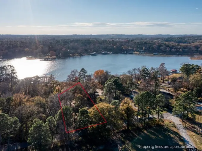 15606 Mc Elroy Rd, Whitehouse, TX 75791 for Sale