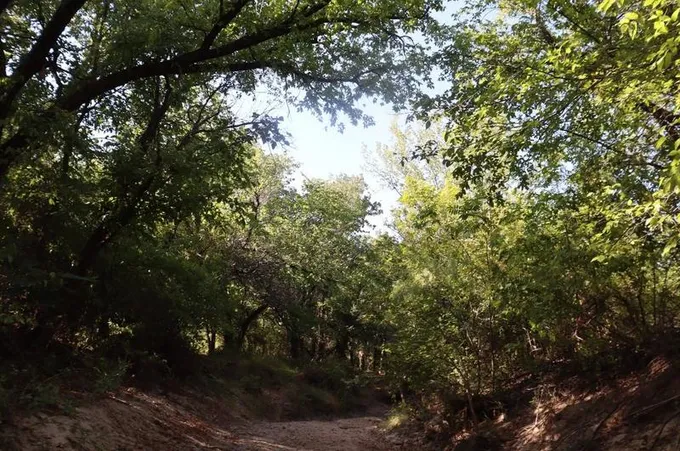000000 Cr 380, Rising Star, TX 76471 - MLS 20496155 for Sale