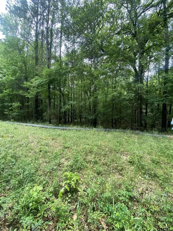 TBD Taylor RD, Marshall, TX 75670 for Sale