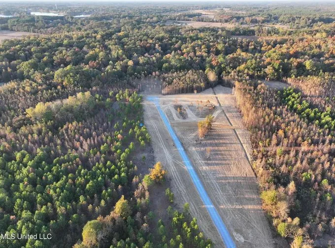Windfall Trail, Madison, MS 39110  608920112 for Sale