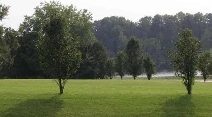 Lot 23 Lawsons Drive, Clarksville, VA 23927  606961915 for Sale