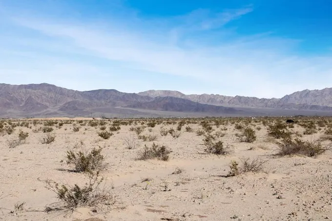 Twentynine Palms, San Bernardino County, CA Recreational Property, Undeveloped Land for sale Property ID: 418641963