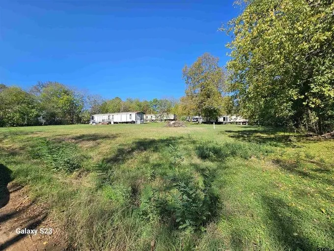 304 W T&P Avenue, Big Sandy, TX 75755 for Sale