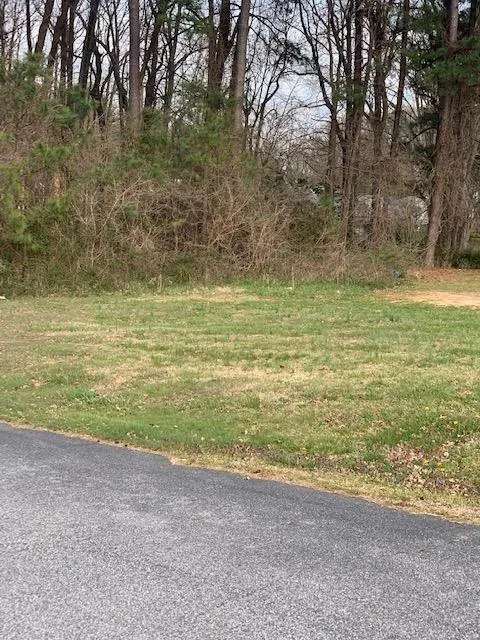 South Hill, Mecklenburg County, VA Commercial Property, Homesites for sale Property ID: 413024235