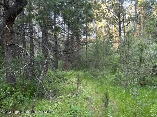 APRX 680 W 7000 SOUTH, Victor, ID 83455 Land For Sale  MLS# 23-1549
