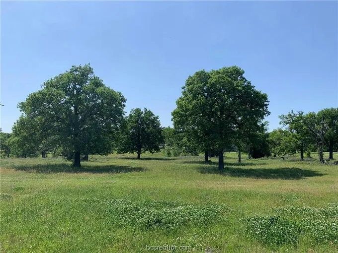 15420 ARHOPULOS RD, College Station, TX 77845 Agriculture For Sale  MLS# 24000702