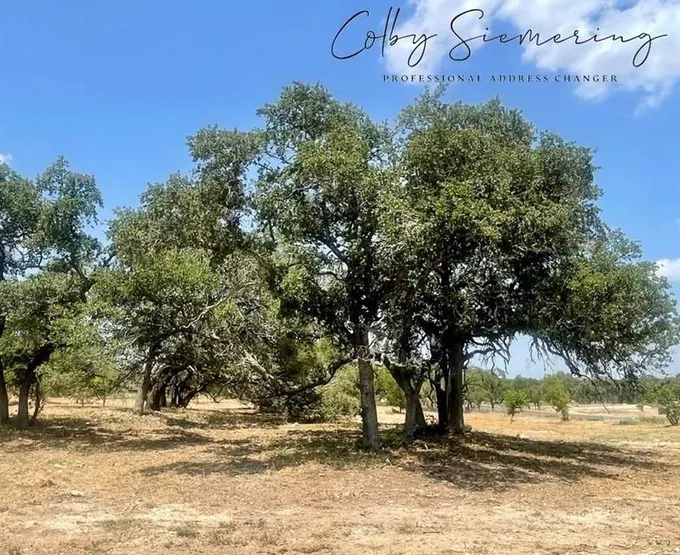 Bee Cave, Travis County, TX Undeveloped Land, Homesites for sale Property ID: 417914617