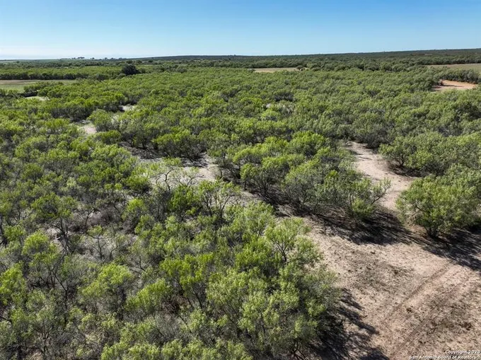 0000 HIGHWAY 173, Devine, TX 78016 for Sale