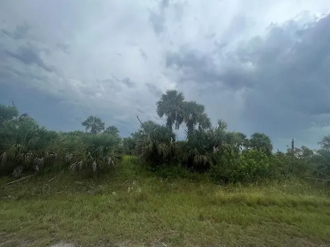 Firebird Rd, North Port, FL 34288 - MLS OK223141 for Sale