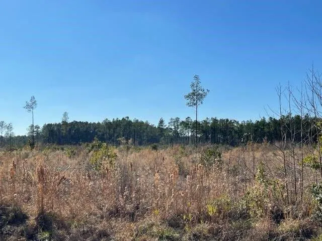 Conway, Horry County, SC for sale Property ID: 415639044