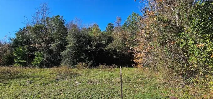 TBD Family Ln S, New Waverly, TX 77358 for Sale