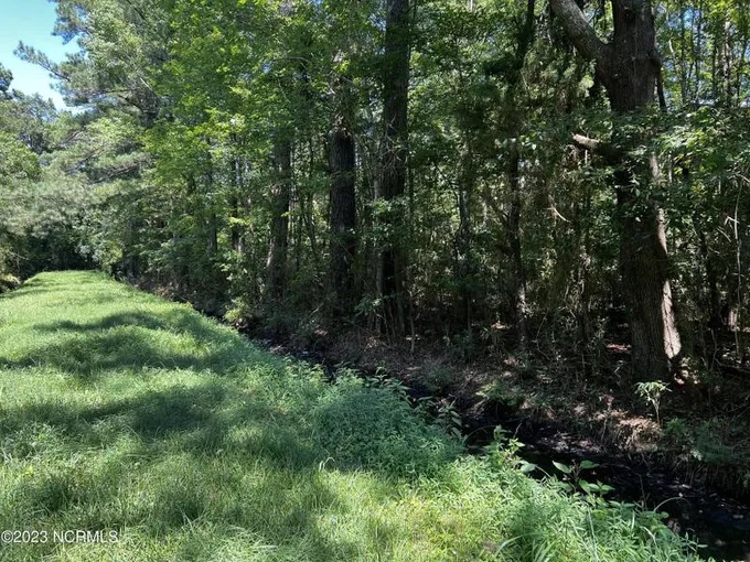 Belhaven, Beaufort County, NC Undeveloped Land, Homesites for sale Property ID: 417367149