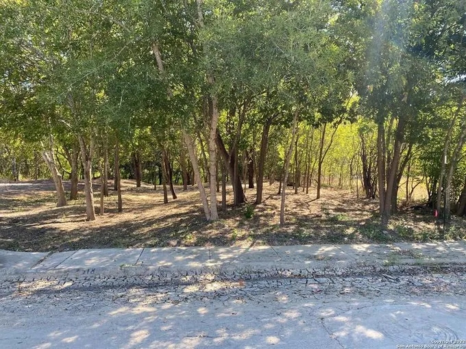 2518 MCNUTT ST, San Antonio, TX 78222 for Sale