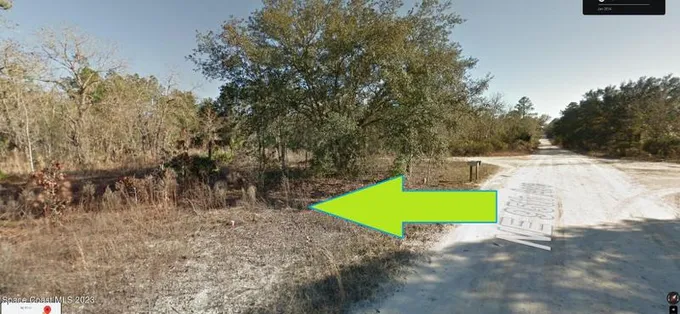 Bronson, Levy County, FL Undeveloped Land, Homesites for sale Property ID: 418010885