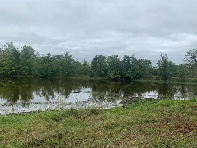 25572 Johnson Rd, Montgomery, TX 77356 for Sale