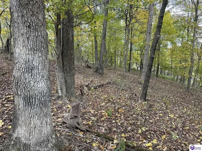 Hardinsburg, Breckinridge County, KY Undeveloped Land, Homesites for sale Property ID: 418133367