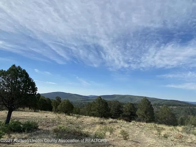 L21D GENE SARRASIN COURT, Alto, NM 88312 Land For Sale  MLS# 126637