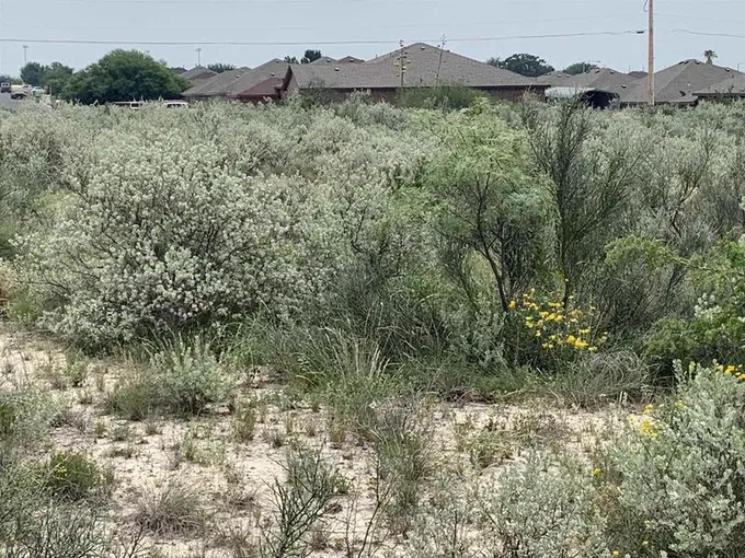 000 Cherokee, Del Rio, TX 78840 for Sale