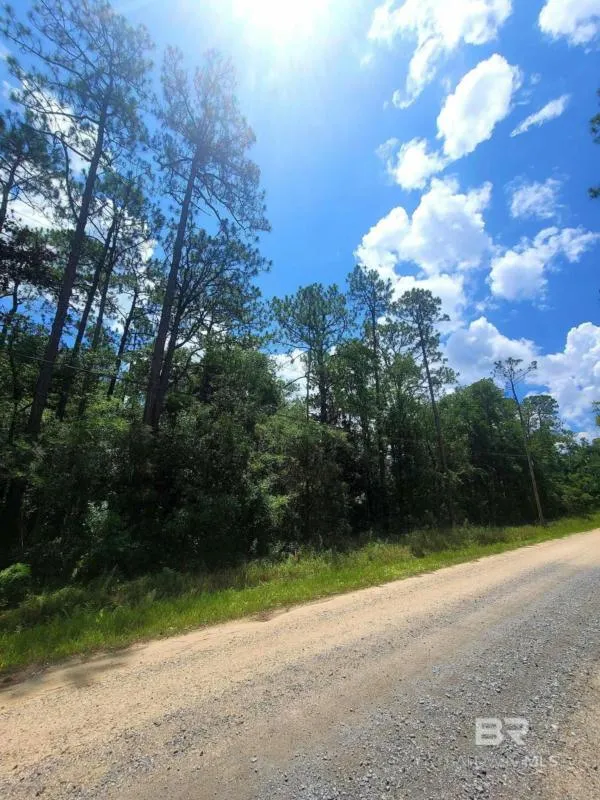 0 DOLPHIN DRIVE, Theodore, AL 36582 Single Family Residence For Sale  MLS# 348427