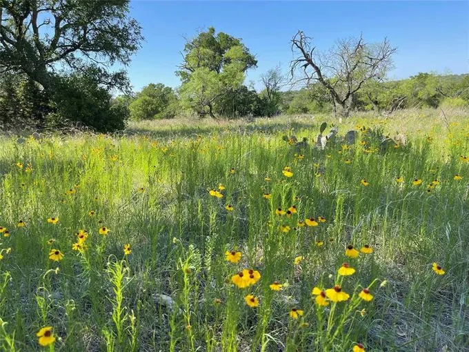 101 WHITETAIL TRAIL, San Saba, TX 76877 Land For Sale  MLS# 60757987