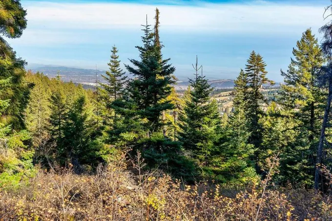 5930 S CORKERY RD, Spokane, WA 99223 Land For Sale  MLS# 202323575