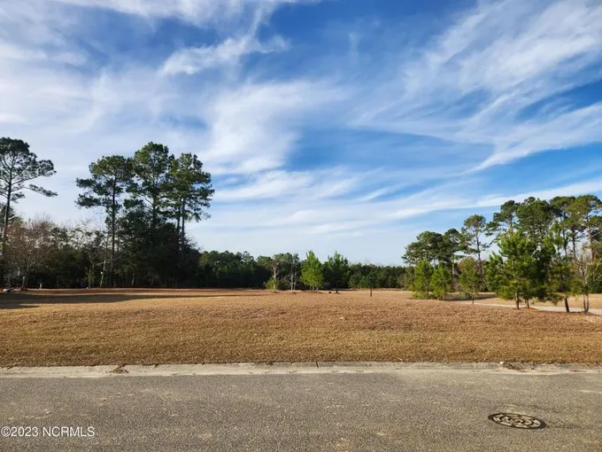 Bolivia, Brunswick County, NC Undeveloped Land, Homesites for sale Property ID: 418530121