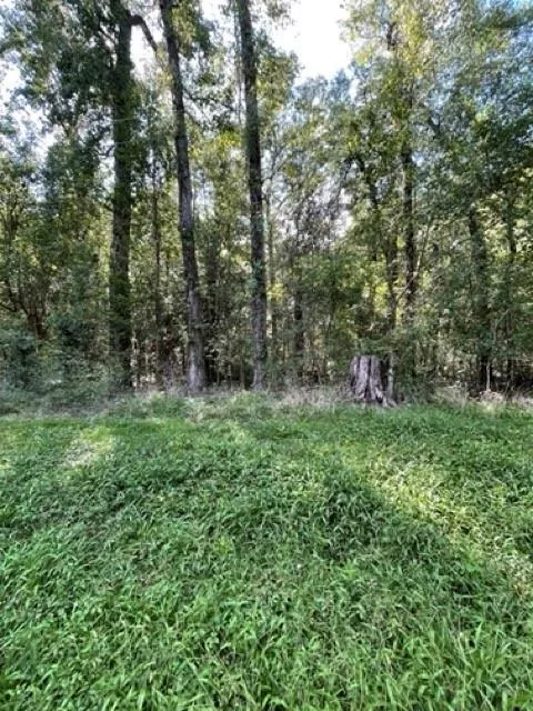 000 County Road 2859, Cleveland, TX 77327 for Sale