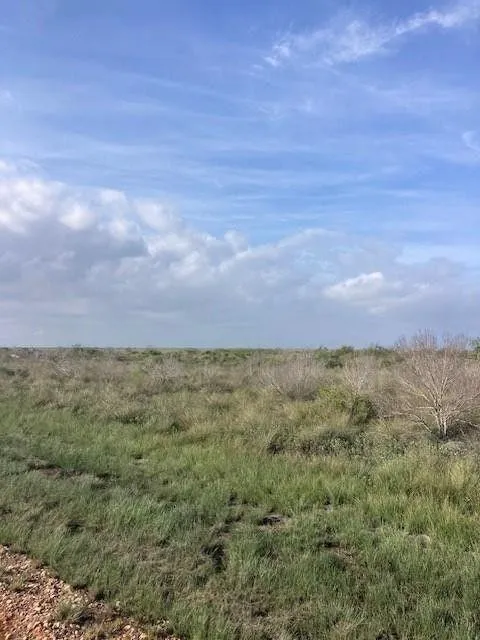 Rockport, Aransas County, TX Undeveloped Land, Homesites for sale Property ID: 418419416