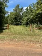TBD County Road 223, Carthage, TX 75633 for Sale