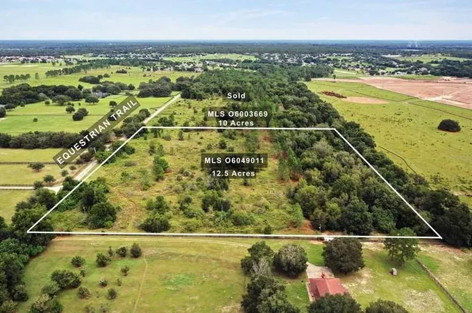 Equestrian Trail, Sorrento, FL 32776 - MLS O6049011 for Sale