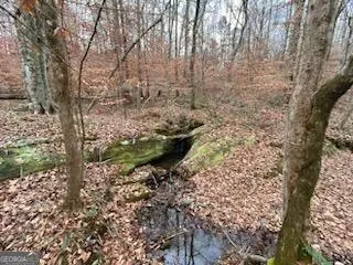 5500 Red Land Rd, Franklin, GA 30217  MLS# 20162306 for Sale