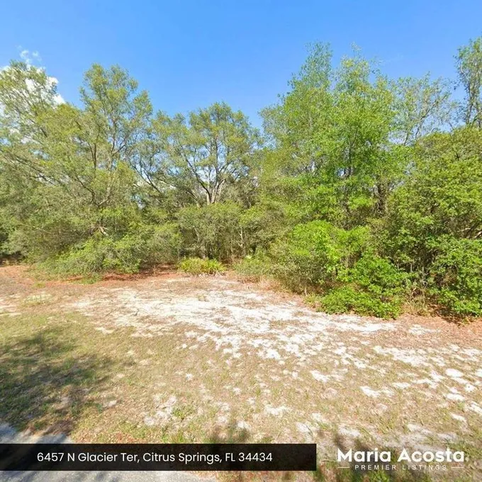 6457 N GLACIER TERRACE, CITRUS SPRINGS, FL 34434  605579536 for Sale