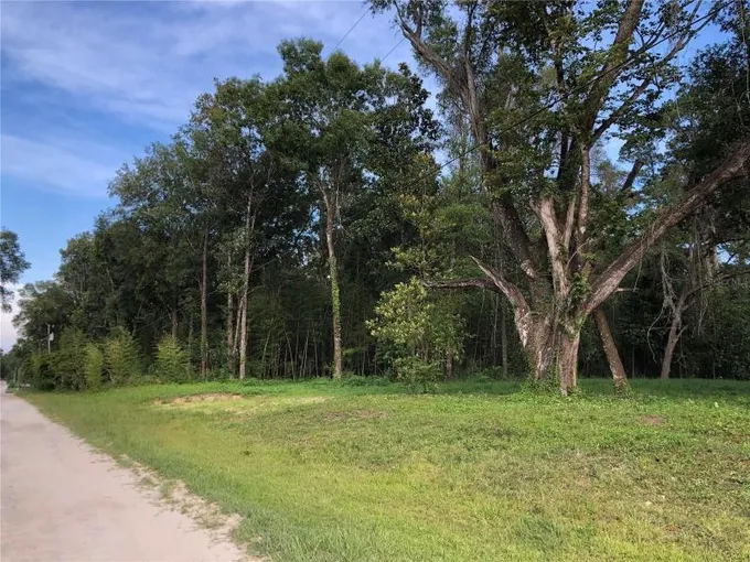 Ocala, Marion County, FL Undeveloped Land, Homesites for sale Property ID: 416067662