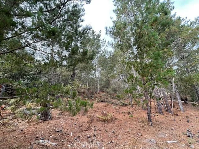 1955 AVON AVE, Cambria, CA 93428 Land For Sale  MLS# SC23173975