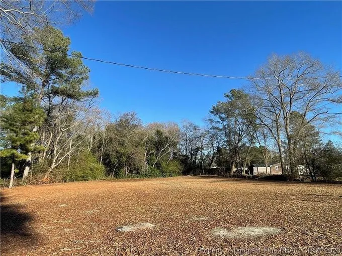 Wagram, Scotland County, NC Undeveloped Land, Homesites for sale Property ID: 418537524