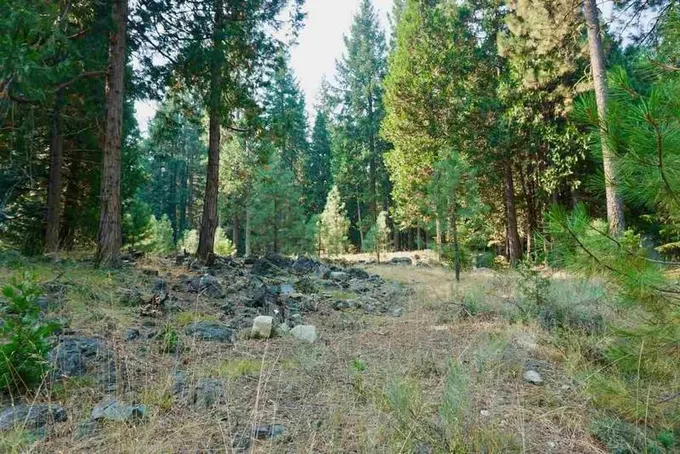 Graeagle, Plumas County, CA Homesites for sale Property ID: 338961011