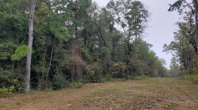 14601 Peterson Rd, Montgomery, TX 77356 - MLS 50963030 for Sale
