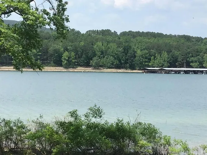 L58 DAVIDSON, Edgemont, AR 72044 Land For Sale  MLS# 23015806