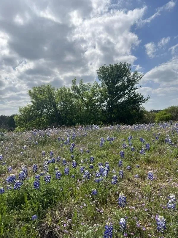 Escondido Lot C-60 La Serena Loop, Horseshoe Bay, TX 78657 for Sale