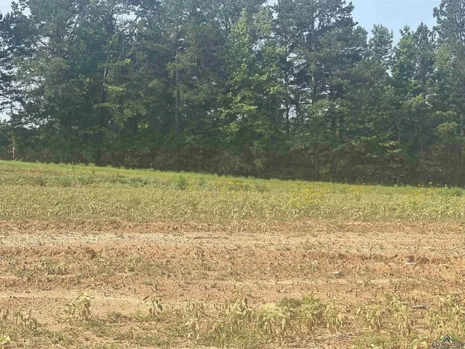 Hallsville, Harrison County, TX Undeveloped Land, Homesites for sale Property ID: 416636360