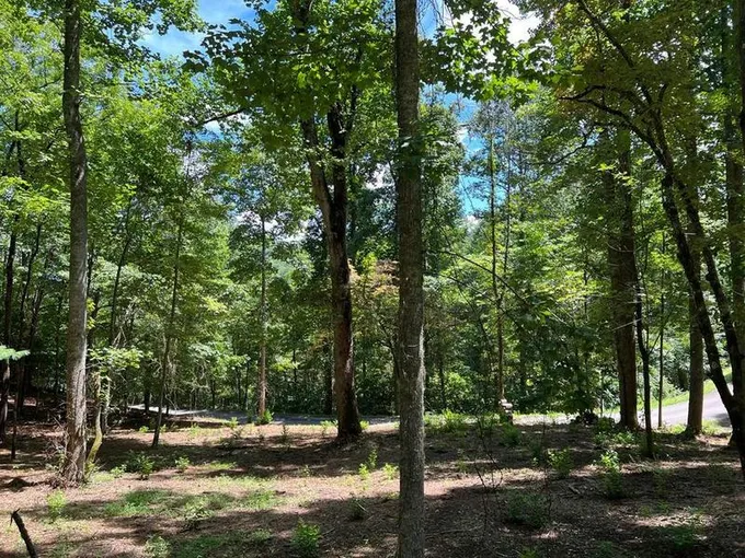 44 ELKHORN RIDGE DR, Franklin, NC 28734 Land For Sale  MLS# 26035474