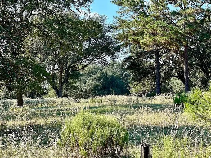 1190 CR 235, Sheridan, TX 77475 for Sale
