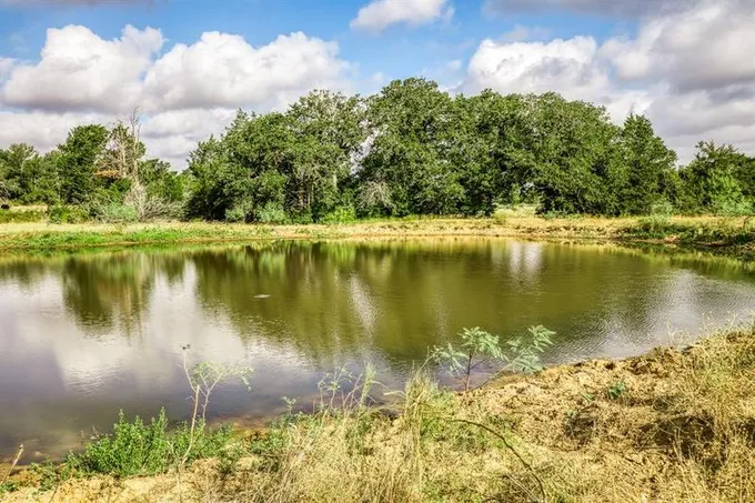 3266 CR 163, Caldwell, TX 77836 for Sale