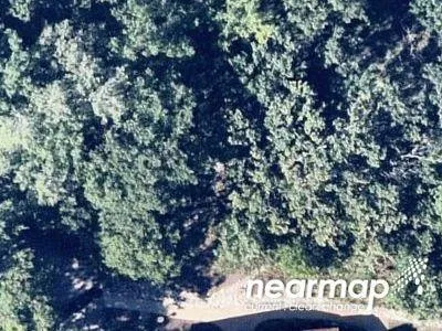 Mary Ct for Sale