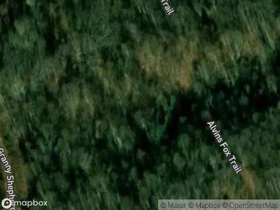 Alvins Fox Trail for Sale