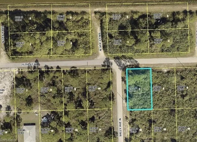 Lehigh Acres, Lee County, FL Undeveloped Land, Homesites for sale Property ID: 414153776