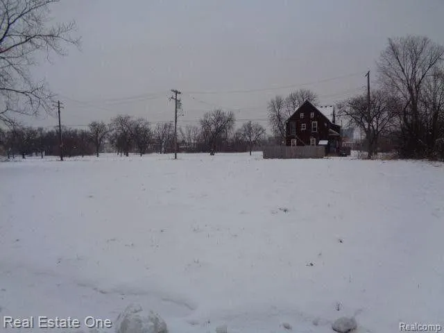 Detroit, Wayne County, MI Undeveloped Land, Homesites for sale Property ID: 415737243