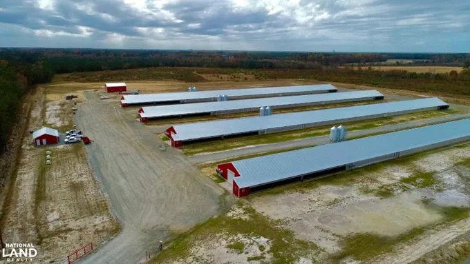 Magnolia, Duplin County, NC Farms and Ranches, Undeveloped Land for sale Property ID: 418347674