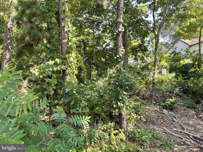 Forked River, Ocean County, NJ Undeveloped Land, Homesites for sale Property ID: 416002566